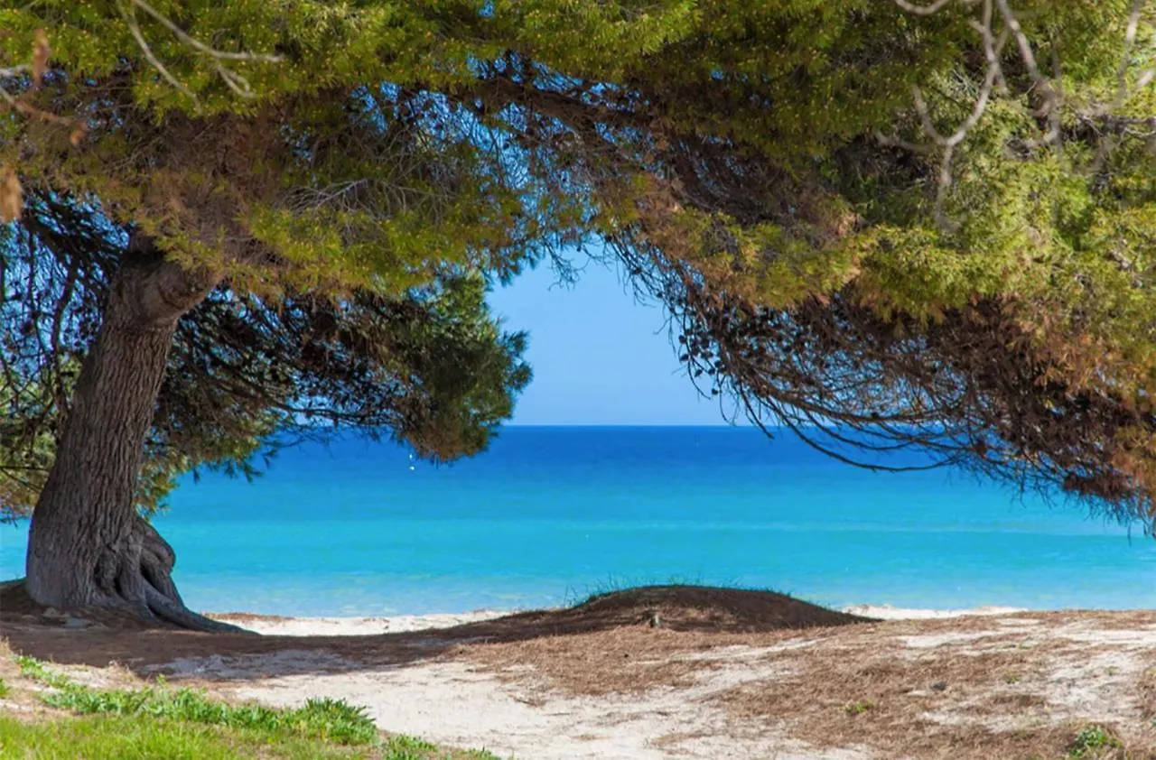 Apartament Countess Of The Bay Attic E Apartment Alcudia