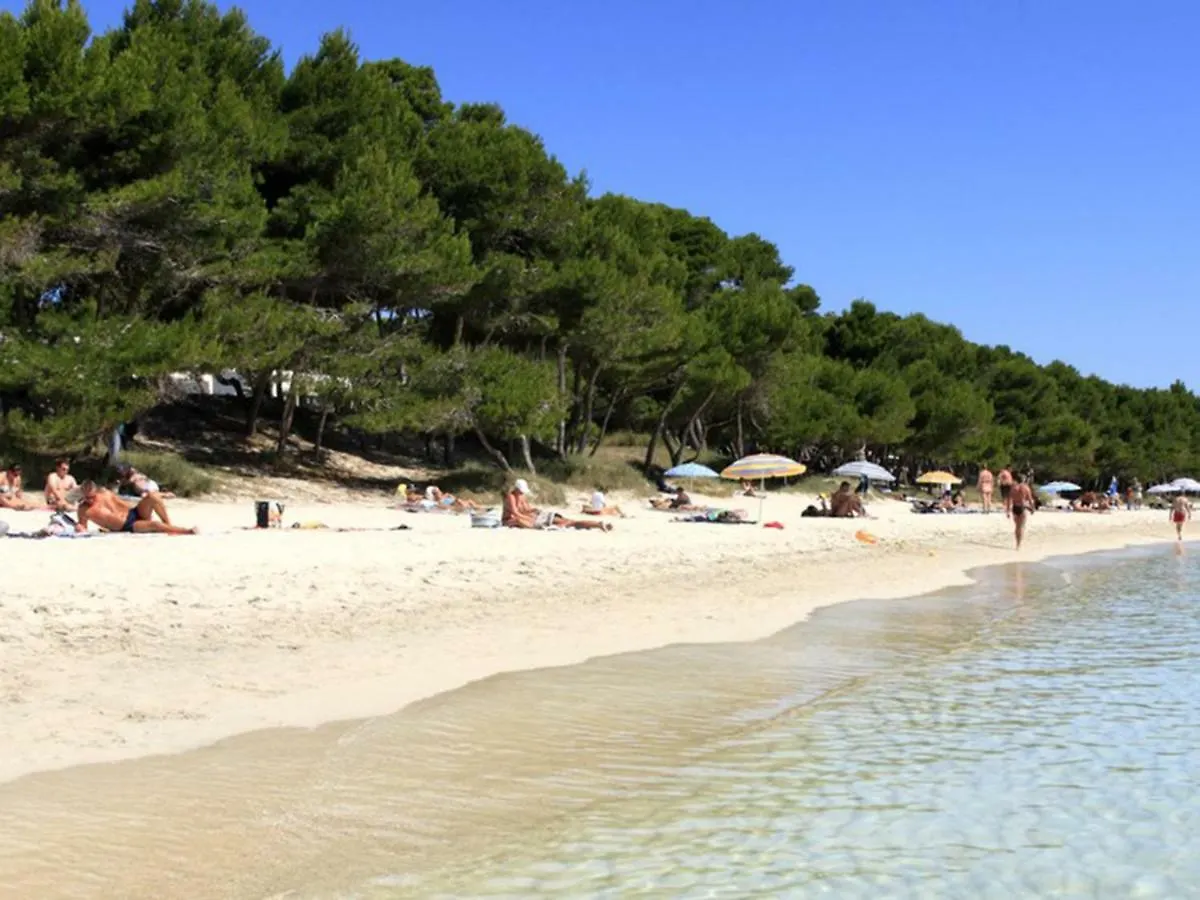 Apartament Countess Of The Bay Attic E Apartment Alcudia  0*, Alcudia (Mallorca) Spain