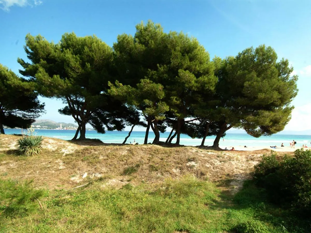 Apartament Countess Of The Bay Attic E Apartment Alcudia